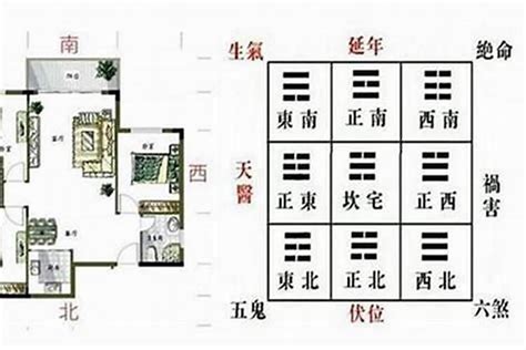 青龙位要放什么|风水论青龙：如何在家布置青龙位？风水大师教你布置青龙位的五。